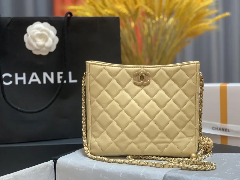 Chanel Hobo Handbag Beige Bag For Women 16cm/6in