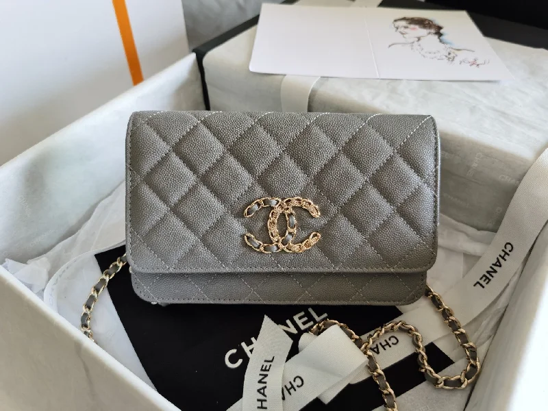 Chanel Mini Flap Bag Grey For Women 7.2in/18.5cm